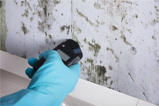 mold remediation in Houston