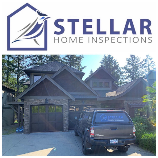 professional home inspection service